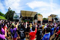 チームしゃちほこ