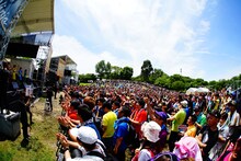 チームしゃちほこ