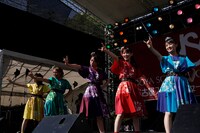 チームしゃちほこ