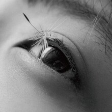 カネコアヤノ「祝祭 ひとりでに」ジャケット