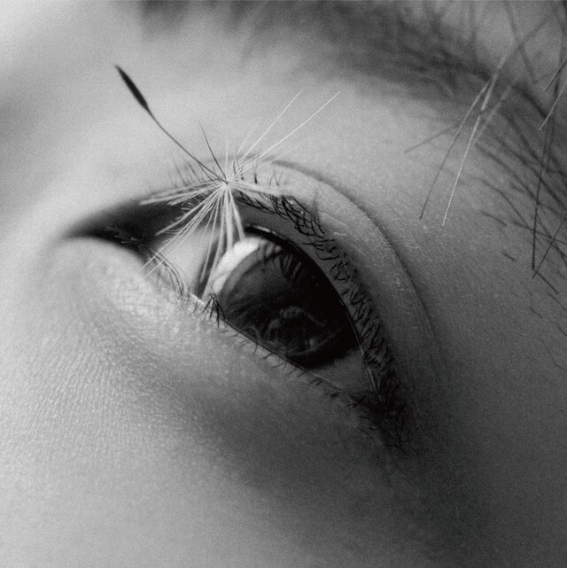 カネコアヤノ「祝祭 ひとりでに」ジャケット