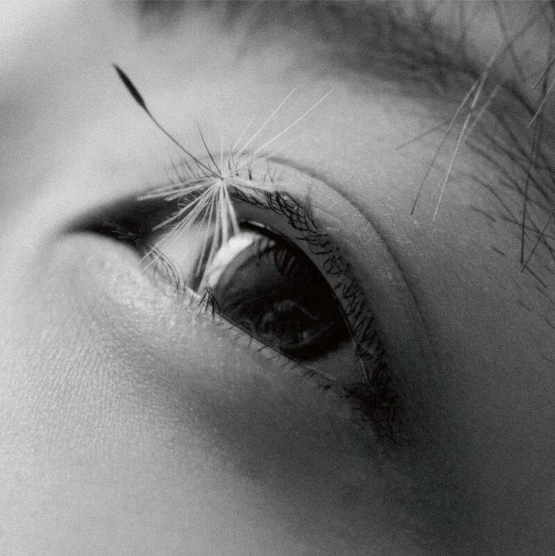 カネコアヤノ「祝祭 ひとりでに」ジャケット