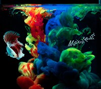 夜の本気ダンス「Magical Feelin'」完全生産限定盤ジャケット