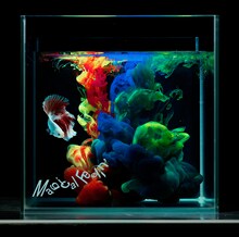 夜の本気ダンス「Magical Feelin'」通常盤ジャケット