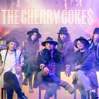 THE CHERRY COKE$、半年にわたる「THE ANSWER」ツアー開催