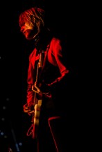 ひばりくん（G / 女王蜂）