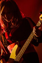 やしちゃん（B / 女王蜂）