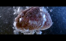 「ロッカジャポニカ第二章 “脳学習シーズン” Teaser」のワンシーン。