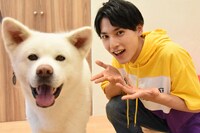 秋田犬とユースケ。