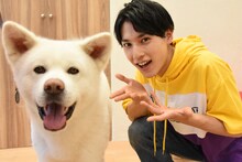 秋田犬とユースケ。