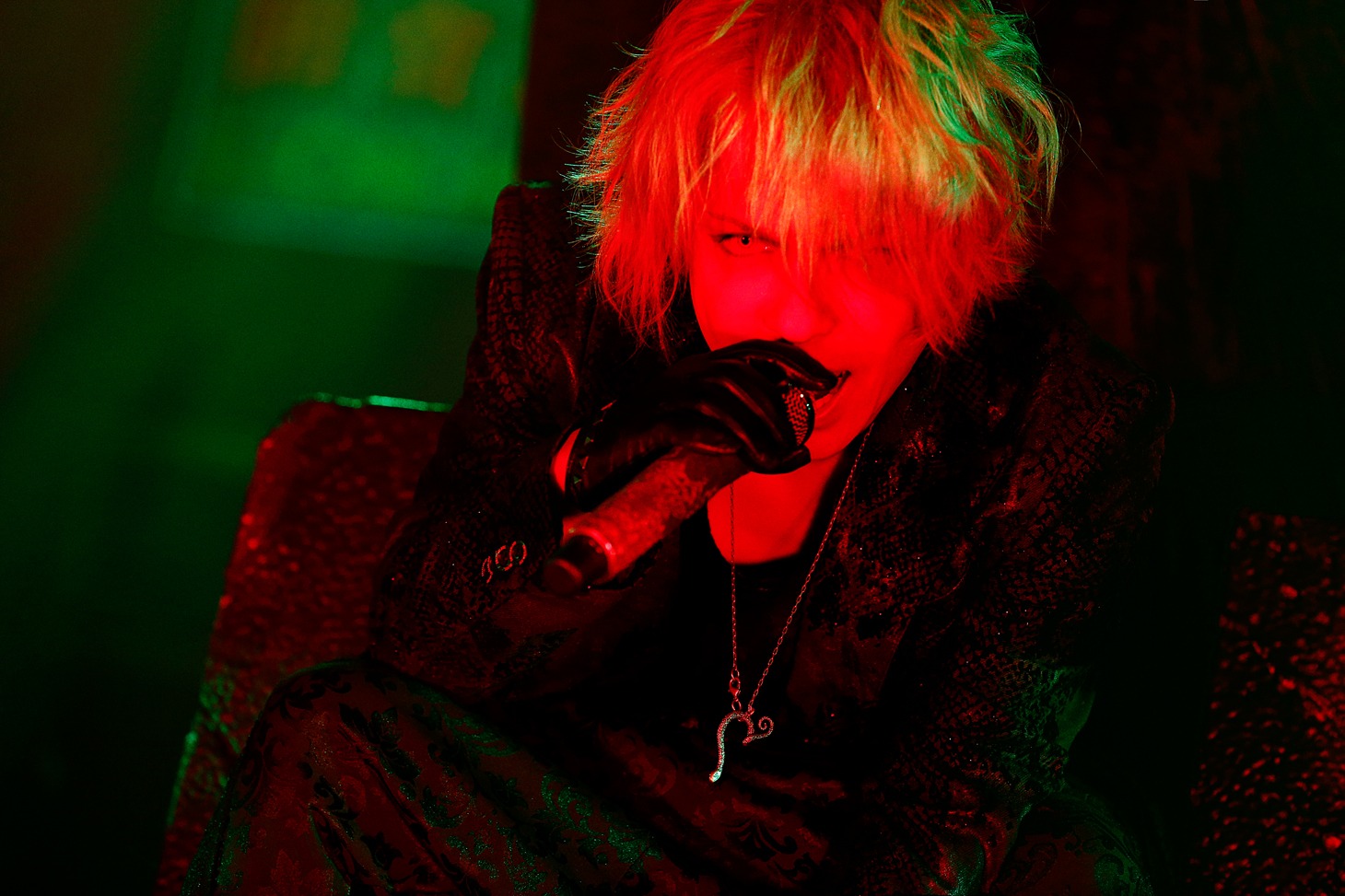HYDE（撮影：岡田貴之）