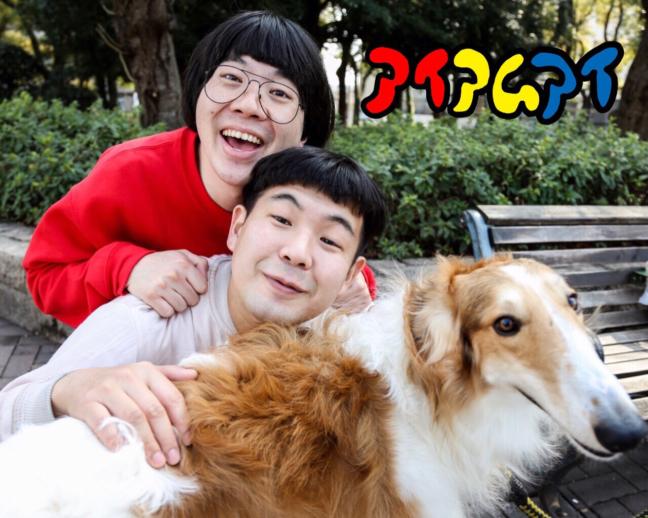 アイアムアイ