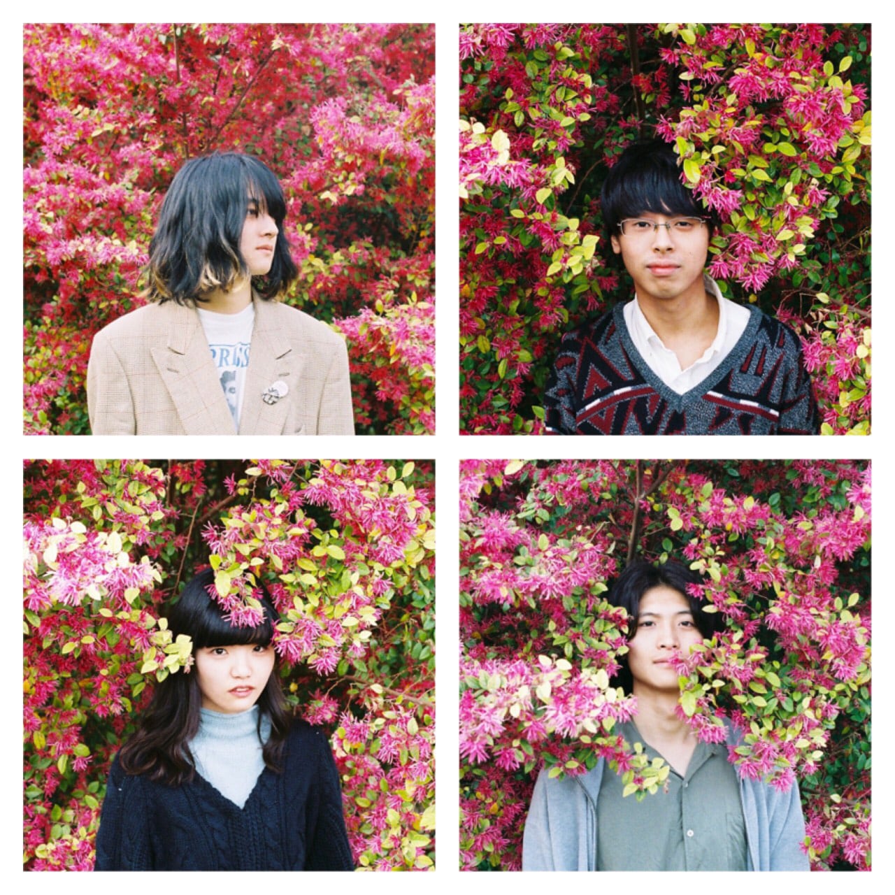 今年サマソニ出演のNo Buses、4曲入り新作を12月に