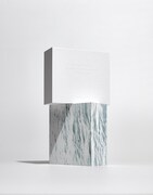 サカナクション「SAKANAQUARIUM2017 10th ANNIVERSARY Arena Session 6.1ch Sound Around」概念盤プレミアムBLOCK(上)、完全生産限定プレミアムBLOCK(下)外観