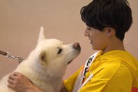 秋田犬とユースケ（超特急）。