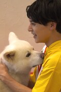 秋田犬とユースケ(超特急)。