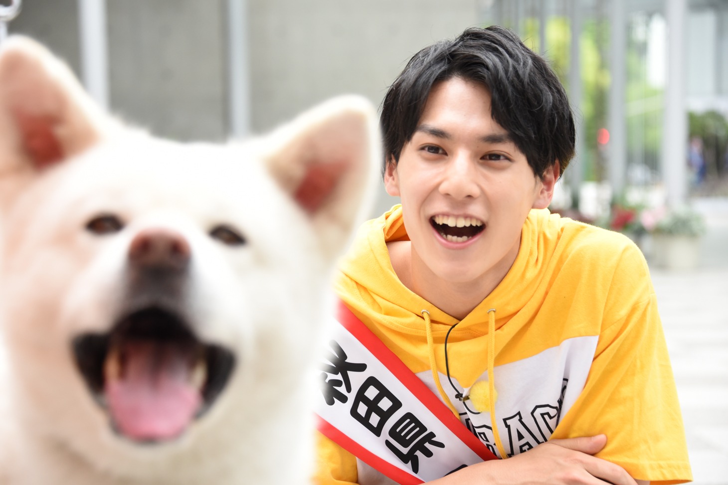 秋田犬とユースケ（超特急）。