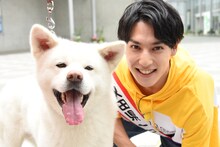 秋田犬とユースケ（超特急）。