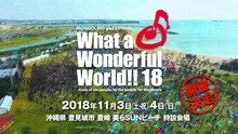 「MONGOL800 ga FESTIVAL What a Wonderful World!! 18」ビジュアル