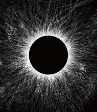 SUGIZO「Unity for Universal Truth」Blu-rayジャケット