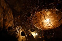 bar bonoboの店内。