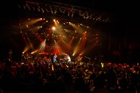 オーイシマサヨシとPENGUIN RESEARCHによるコラボの様子。（撮影：曽我美芽）