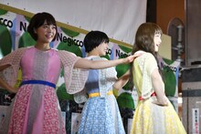 Negicco