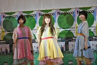 Negicco