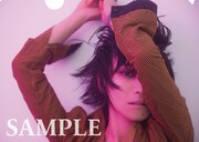 鬼束ちひろ「ヒナギク」Amazon.co.jp特典クリアファイルのデザイン。