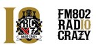 「FM802 RADIO CRAZY」今年もインテックス大阪で2DAYS