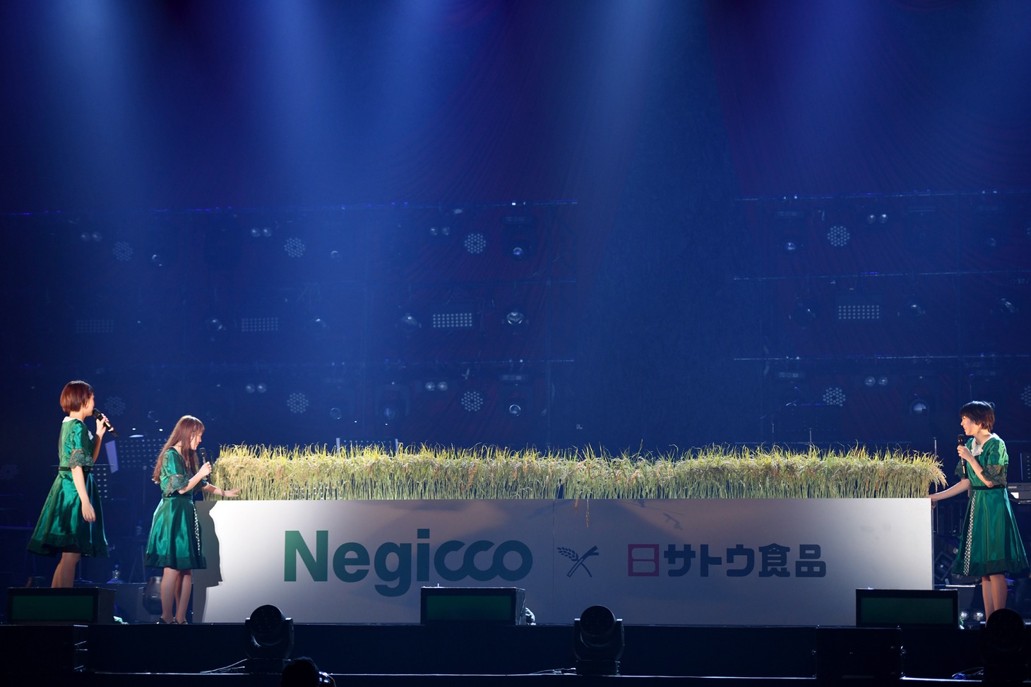 Negiccoと稲穂。