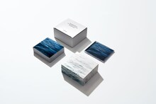 サカナクション「SAKANAQUARIUM2017 10th ANNIVERSARY Arena Session　6.1ch Sound Around」完全生産限定盤内容