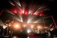 女王蜂（撮影：岩根愛）