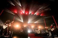 女王蜂（撮影：岩根愛）