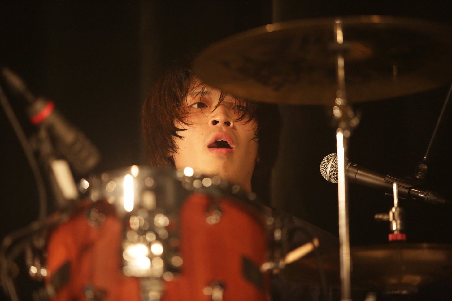 福田裕介（Dr）（撮影：佐藤祐紀）