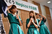 Negicco