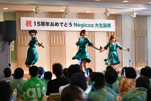 Negicco