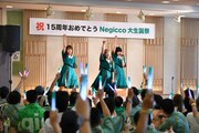 Negicco