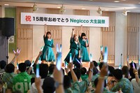 Negicco
