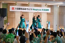 Negicco