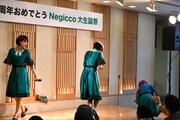 Negicco