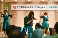 Negicco