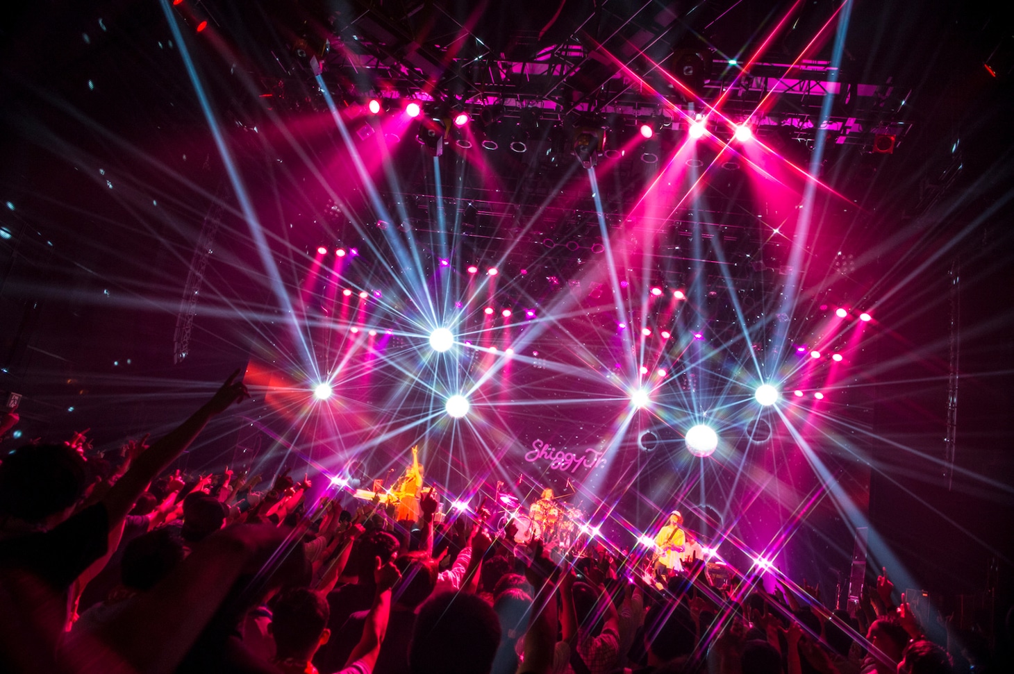 Shiggy Jr.「Shiggy Jr. LIVE TOUR 2018 - Step by Step - summer ver.」東京・マイナビBLITZ赤坂公演の様子。（撮影：田中聖太郎）