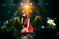 Shiggy Jr.「Shiggy Jr. LIVE TOUR 2018 - Step by Step - summer ver.」東京・マイナビBLITZ赤坂公演の様子。（撮影：田中聖太郎）