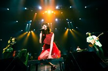 Shiggy Jr.「Shiggy Jr. LIVE TOUR 2018 - Step by Step - summer ver.」東京・マイナビBLITZ赤坂公演の様子。（撮影：田中聖太郎）