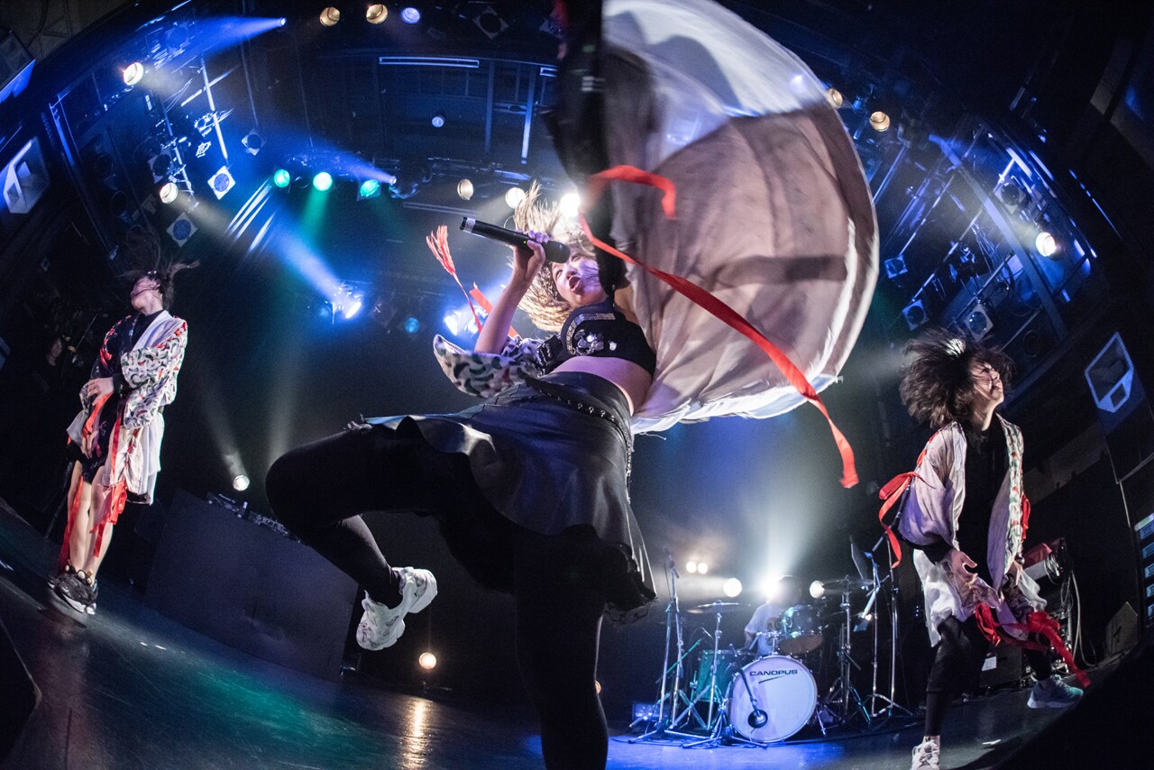 幽世テロルArchitect、新メンバー2人加え9月から全国ツアー