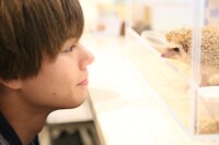 カイとハリネズミ。