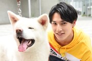 ユースケ（右）と秋田犬（左）。