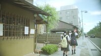 乃木坂46「地球が丸いなら」ミュージックビデオのワンシーン。
