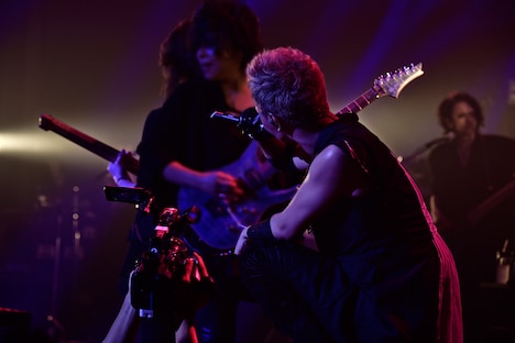 luz（撮影：小松陽祐［ODD JOB］、加藤千絵）